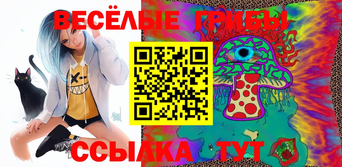 Псилоцибиновые грибы Psilocybe Конаково