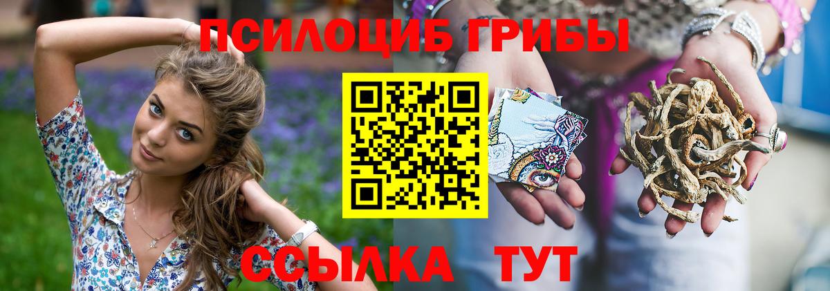 Галлюциногенные грибы Psilocybe  Вход с VPN  Конаково 